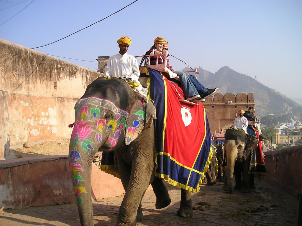 india, elephant, transport
