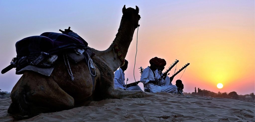 camel, trekking, attraction in jaisalmer desert