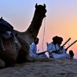 camel, trekking, attraction in jaisalmer desert