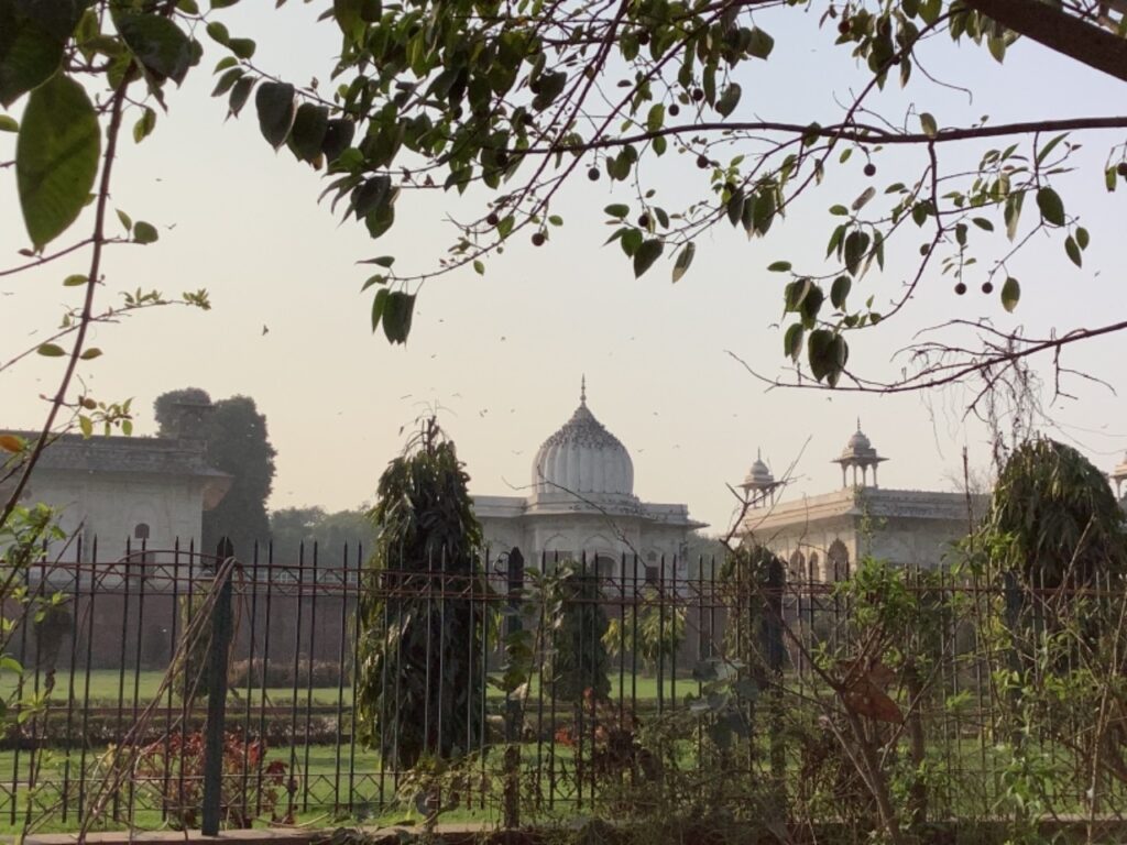 Palace Delhi tours and options
