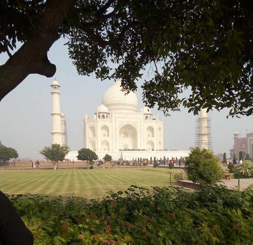 All with Taj Mahal reopened