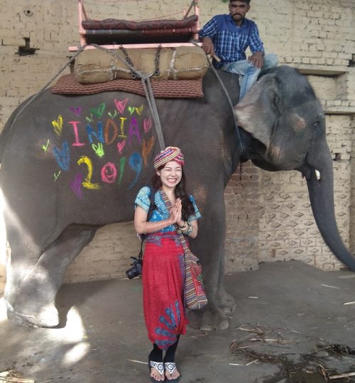 Elephant at Amer, SyN travels