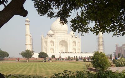 All with Taj Mahal reopened