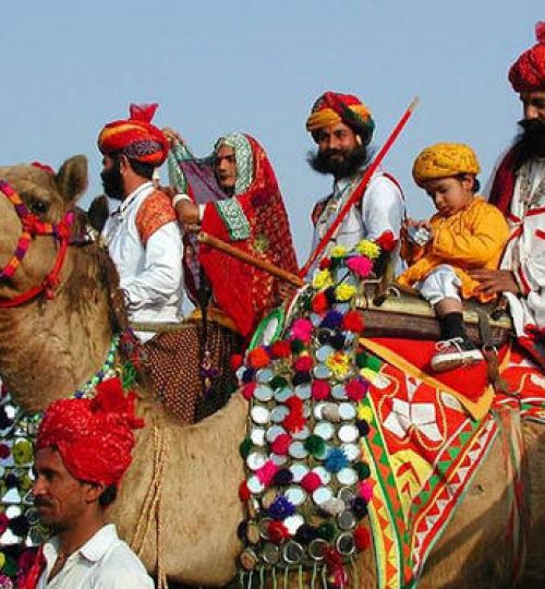 rajasthan-Culture-of fest