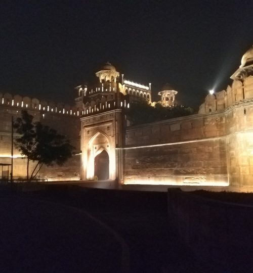 Red fort in light Delhi tours and options