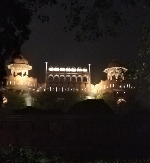 red fort in light